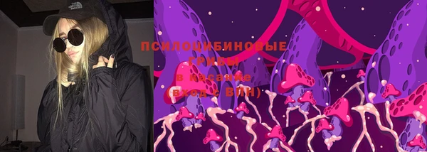 эйфоретик Новозыбков