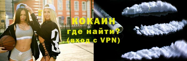 индика Бежецк