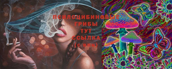 MDMA Новодвинск