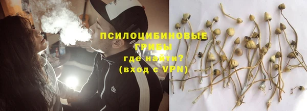 MDMA Новодвинск