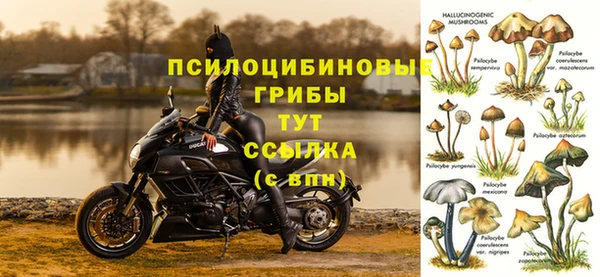 MDMA Новодвинск