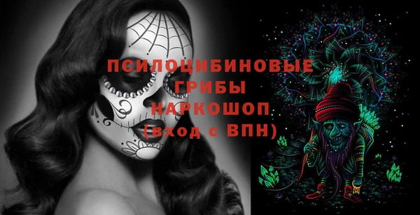 эйфоретик Новозыбков