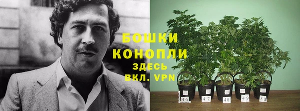 MDMA Новодвинск